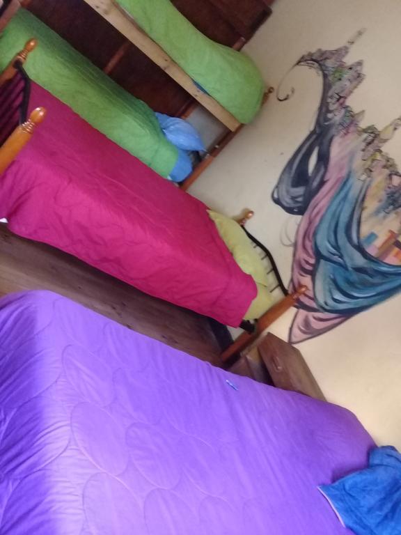 Hostal Polanco Cerro Alegre 瓦尔帕莱索 客房 照片